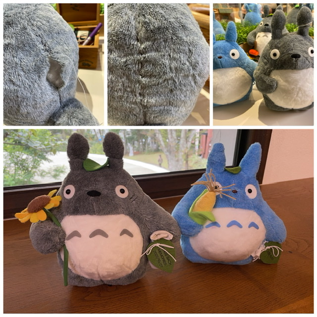 totoro

